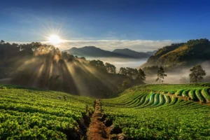 alam lembang